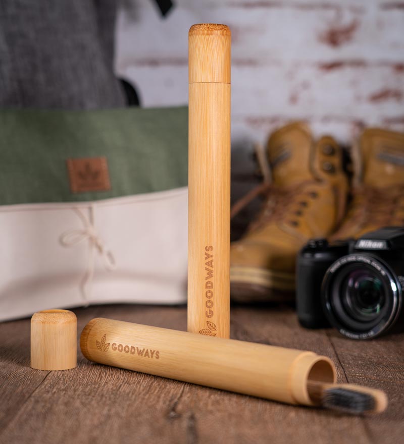 Travel brush case