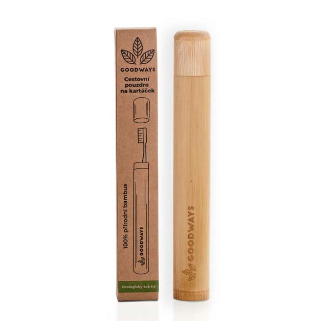 Travel brush case